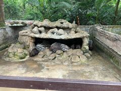 -海南热带野生动植物园