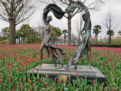 -大宁郁金香公园-停车场