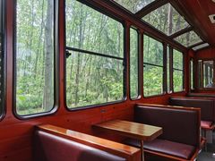 -合肥滨湖国家森林公园