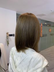 -藤野造型
