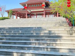-大湾区中央湿地公园