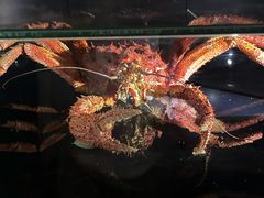 -同济大学四平路校区深海探索馆