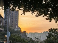 -重庆彩云湖湿地公园