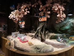 -zoonana室内动物园(东方福来德店)