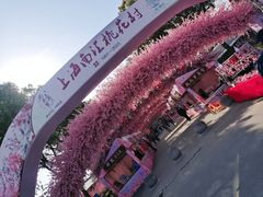 -南汇桃花村