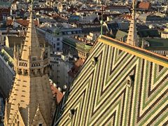 -斯蒂芬主教座堂(Stephansdom)