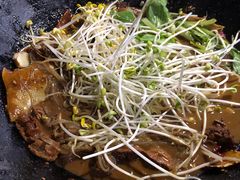 -皖北巫氏三胖地锅鸡(长淮总店)