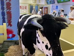 -红星前进面包牛奶公司(君太店)