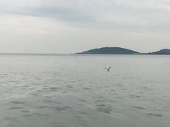 -苏州吴中太湖旅游区