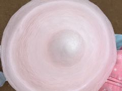-海南热带野生动植物园
