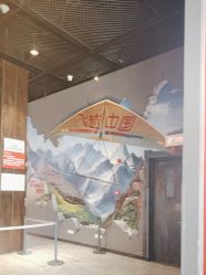 -飞览天下沉浸式飞行体验(北京旗舰店)