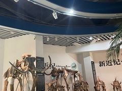 -烟台自然博物馆