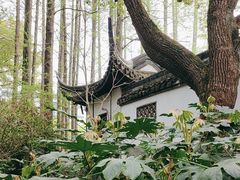 -上海醉白池公园