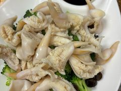 -鲁前海沿儿