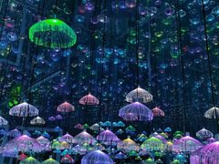 -星空失恋博物馆(北京路旗舰店)