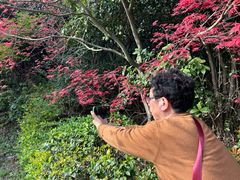 -桃花岛景观公园