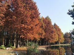 -厦门园林博览苑