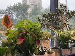 -懒人盐府人家(航天桥店)