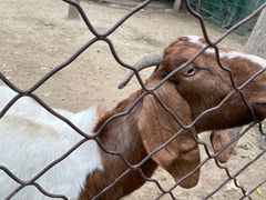 -草根堂农场