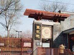 -莲花池公园