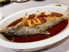 花雕蒸鲥鱼-新光酒家·河豚·海鲜·蟹料理(浦东店)