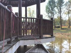 -东平国家森林公园