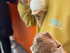 -野人先生现做冰淇淋(北京王府井东方新天地店)