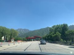 -王顺山国家森林公园