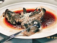 清蒸深海老虎斑-不贰小院(余姚多元文化创意园店)
