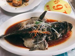 石斑鱼-范饭椰林川湘味海鲜·椰子鸡(三亚湾椰梦长廊店)