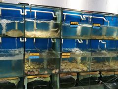 水产区-胖大嫂渔家排档·全海景餐厅(渔村店)