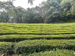 -敬亭山风景名胜区