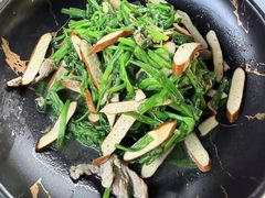 -阿巧茶庄
