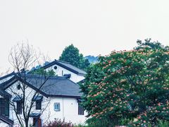 -石塘人家