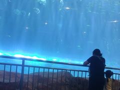 -华夏文旅海洋公园