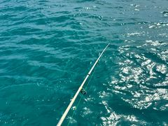 -小猫钓鱼海钓俱乐部(椰梦长廊店)