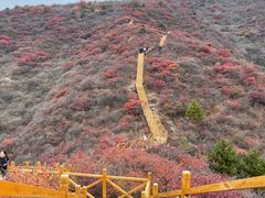 -水峪民俗村