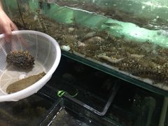 -海天市场(淮河路店)