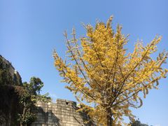 -文昌阁