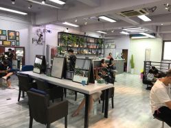 点击看大图 -T8 SALON