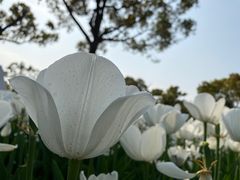 -大宁公园