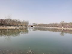 -大兴滨河森林公园