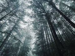 -芦芽山旅游度假区
