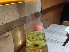 -探窝·竹笙椰子鸡(杨箕店)