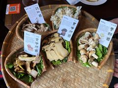 -滇野云南野生菌餐厅(陕西南路店)