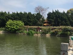 -嘉定紫藤园
