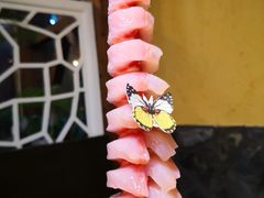 -土著渔匠·养生蝴蝶鱼(香樟路店)