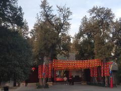 -关林