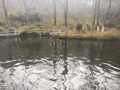 -南山风景名胜区