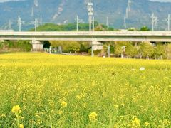 -光明小镇欢乐田园